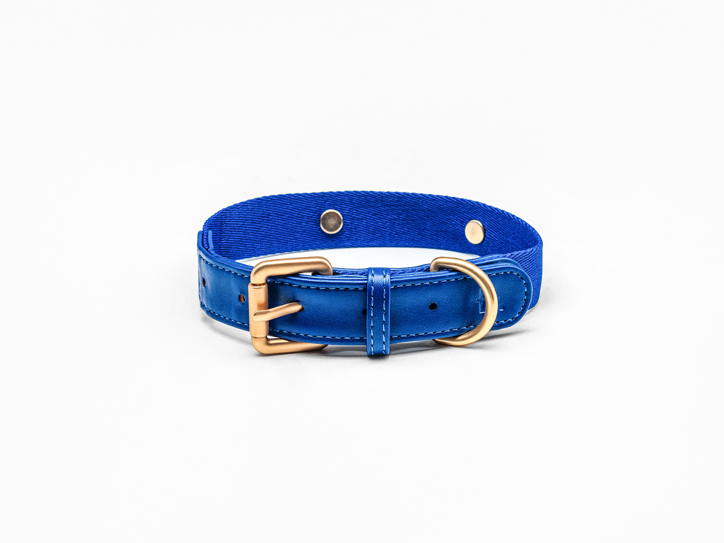 Blue Dog Collar