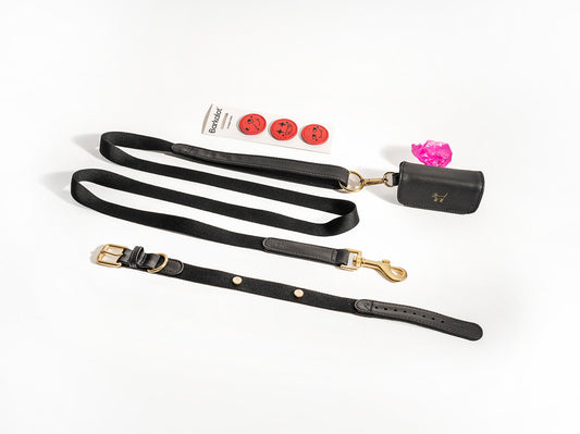 Black Dog Collar Walk Kit +  Poop Bag Holder + Pins