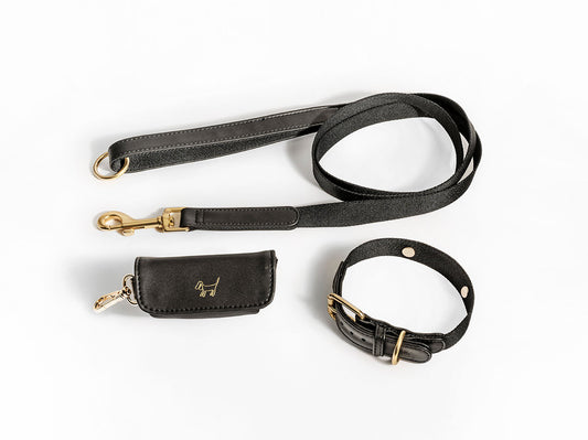 Black Dog Collar Walk Kit +  Poop Bag Holder