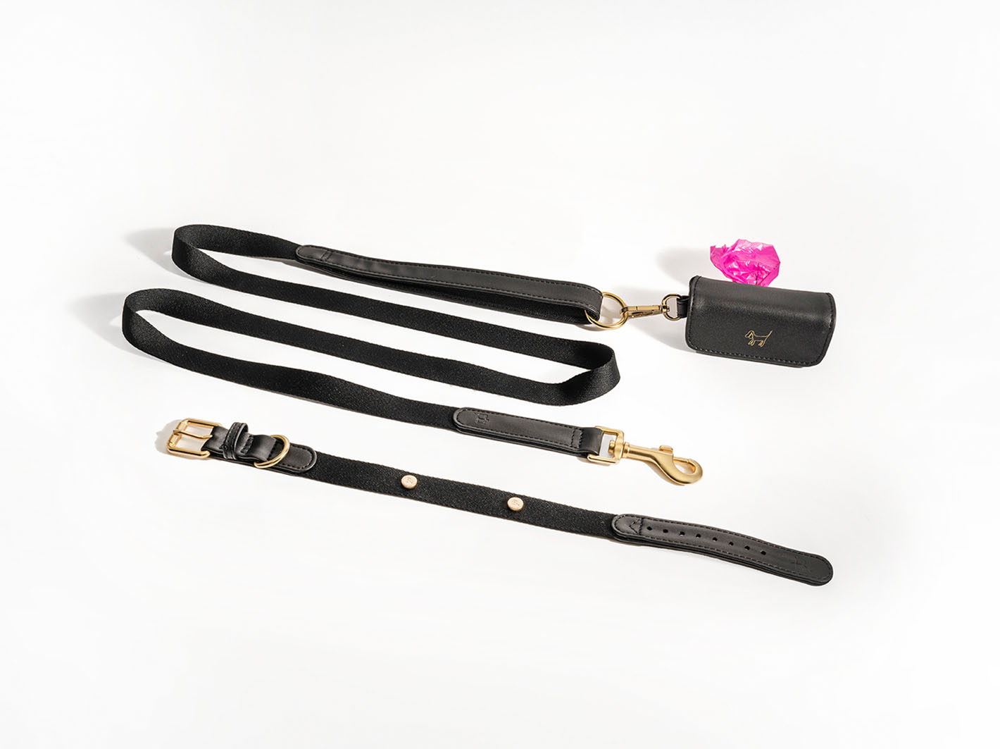 Black Dog Collar Walk Kit +  Poop Bag Holder