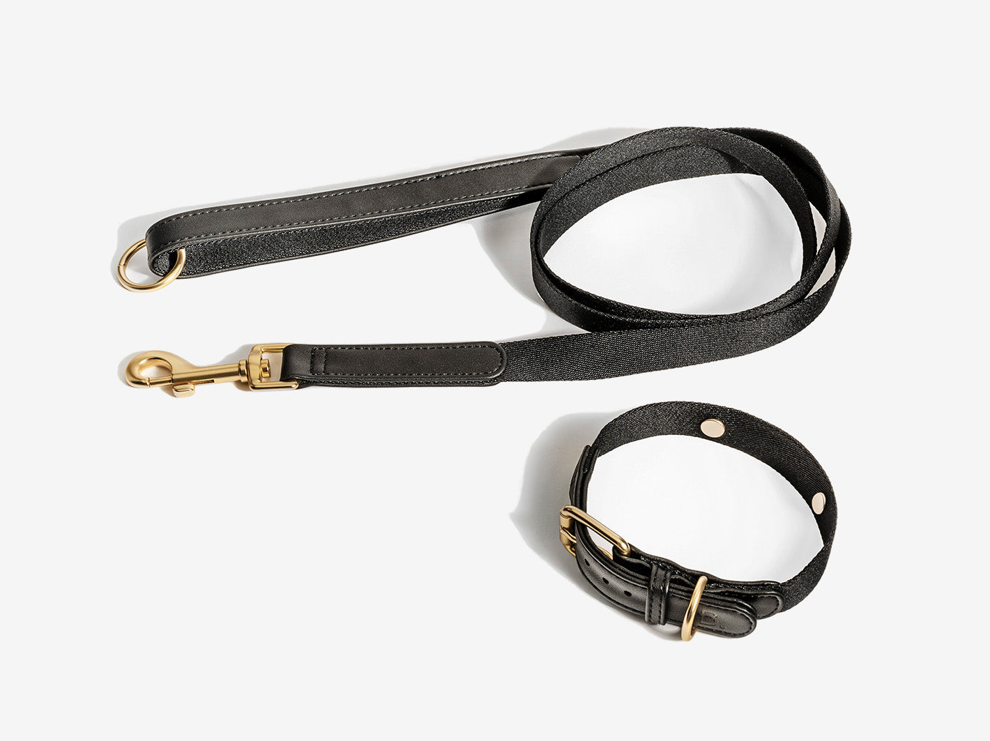 Black Dog Collar Walk Kit