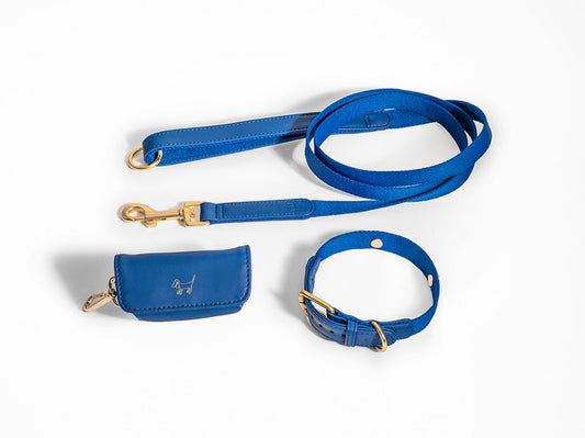 Blue Dog Collar Walk Kit + Poop Bag Holder