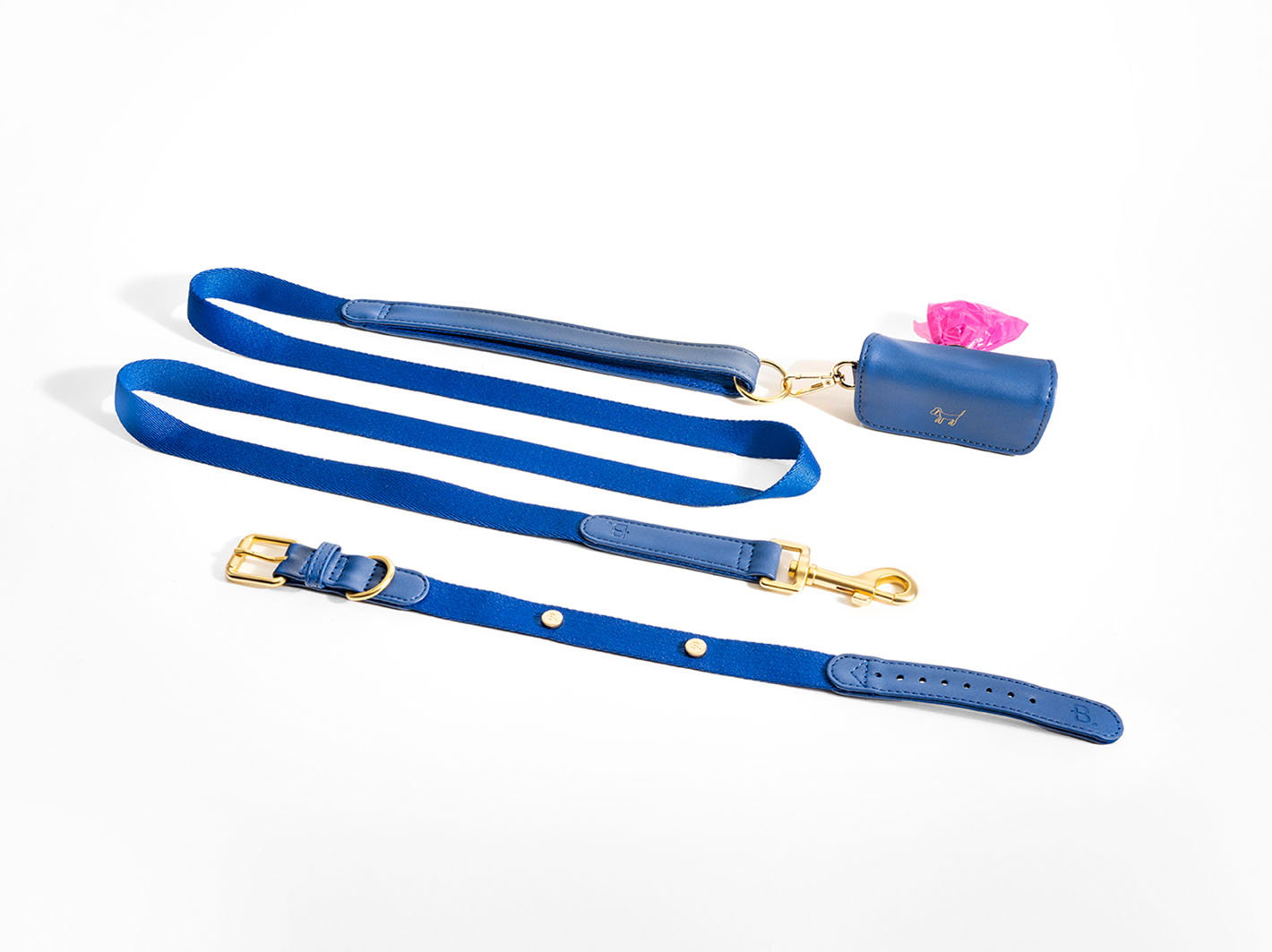 Blue Dog Collar Walk Kit + Poop Bag Holder