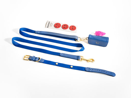 Blue Dog Collar Walk Kit+  Poop Bag Holder + Pins
