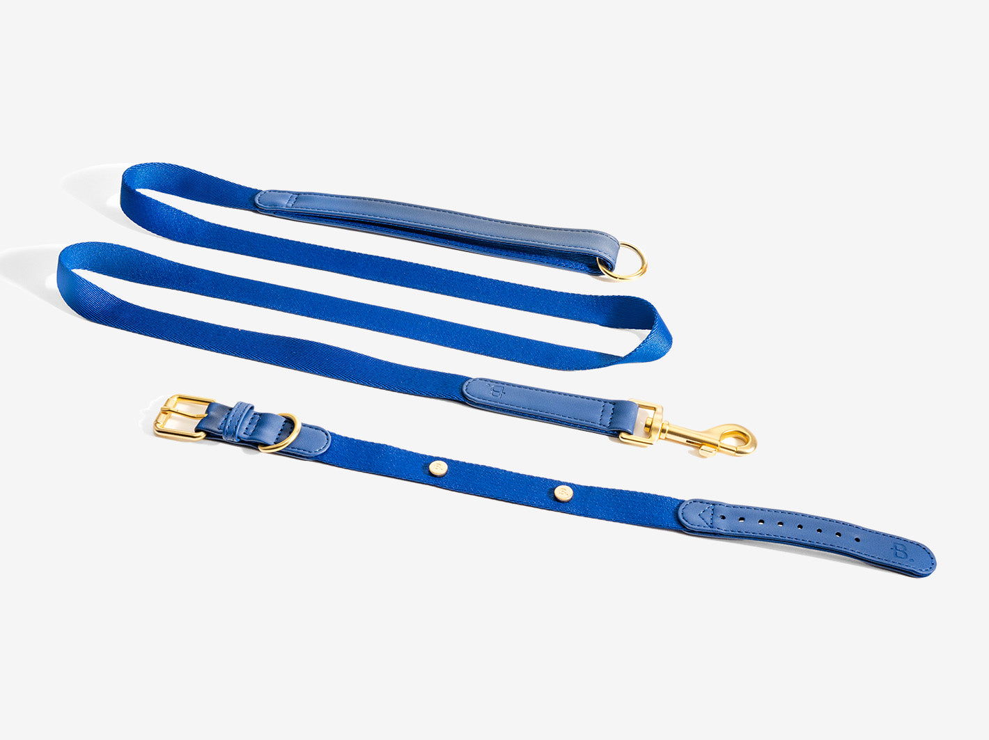 Blue Dog Collar Walk Kit