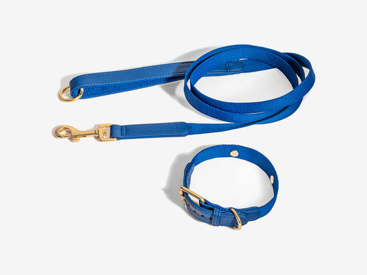 Blue Dog Collar Walk Kit