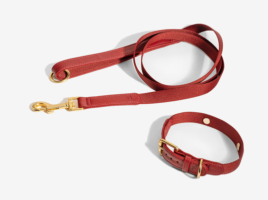 Burgundy Dog Collar Walk Kit