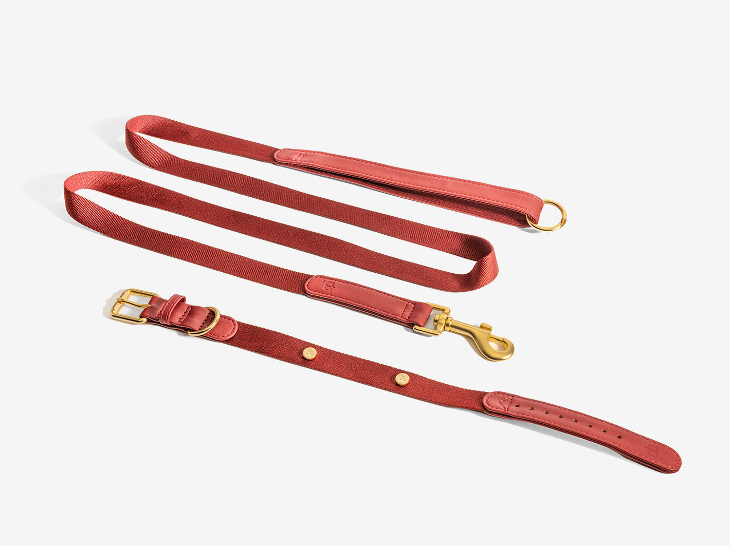 Burgundy Dog Collar Walk Kit