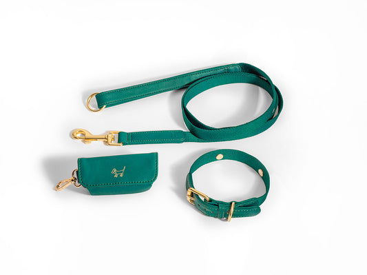 Green Dog Collar Walk Kit + Poop Bag Holder