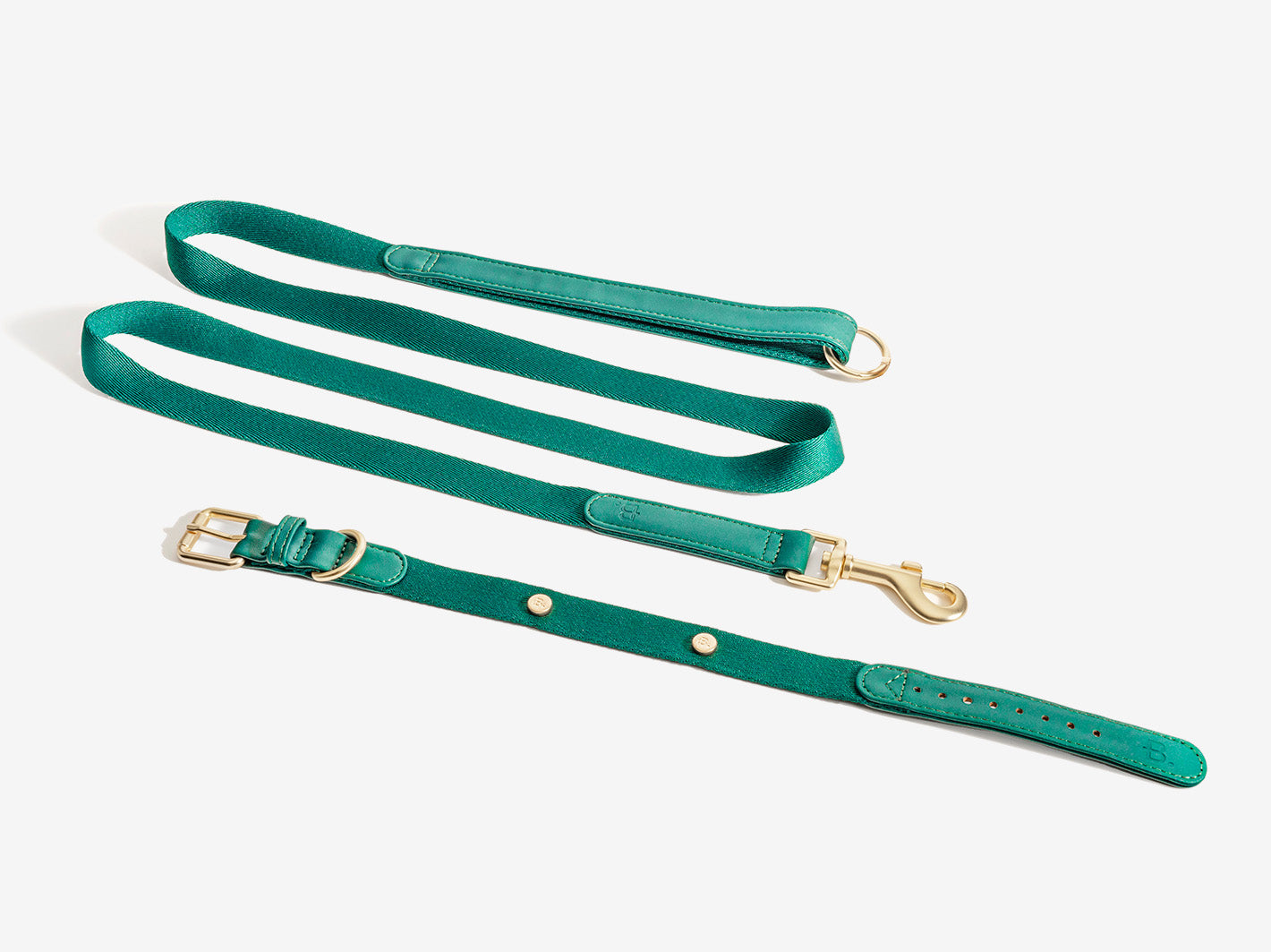 Green Dog Collar Walk Kit