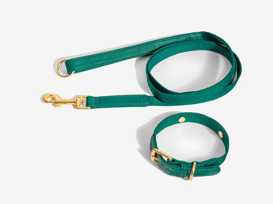 Green Dog Collar Walk Kit