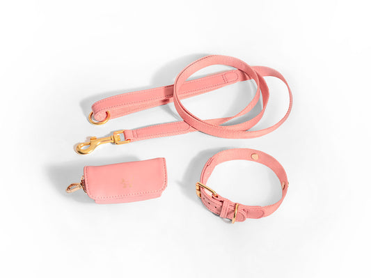Pink Dog Collar Walk Kit + Poop Bag Holder