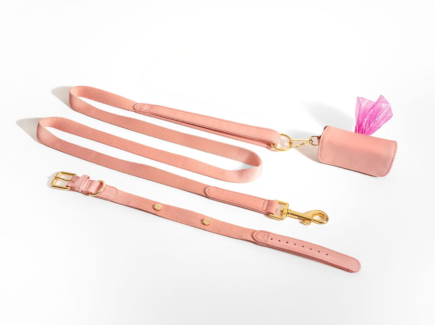 Pink Dog Collar Walk Kit + Poop Bag Holder