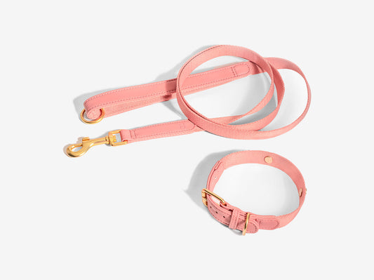Pink Dog Collar Walk Kit