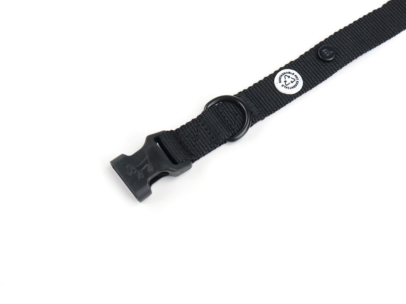 Pitch Black Dog Collar Walk Kit