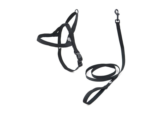 Pitch Black Dog Harness Walk Kit