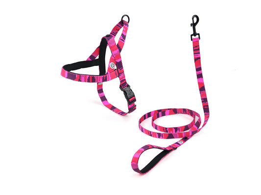 Pink Camo Dog Harness Walk Kit