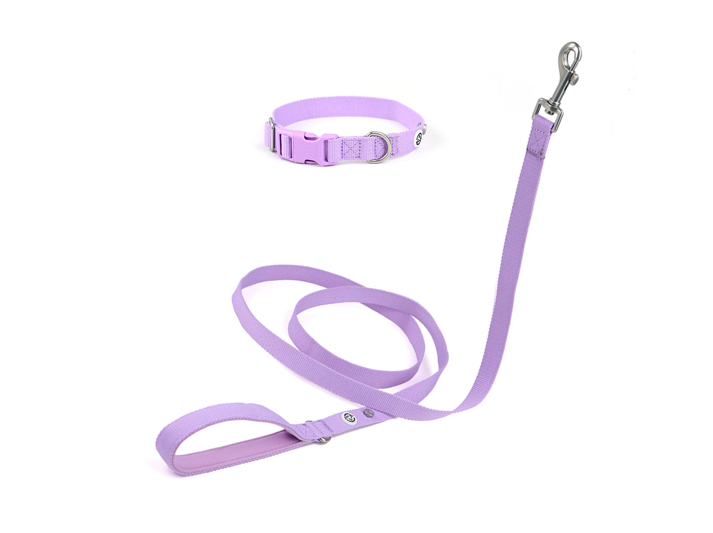 Lilac Dog Collar Walk Kit