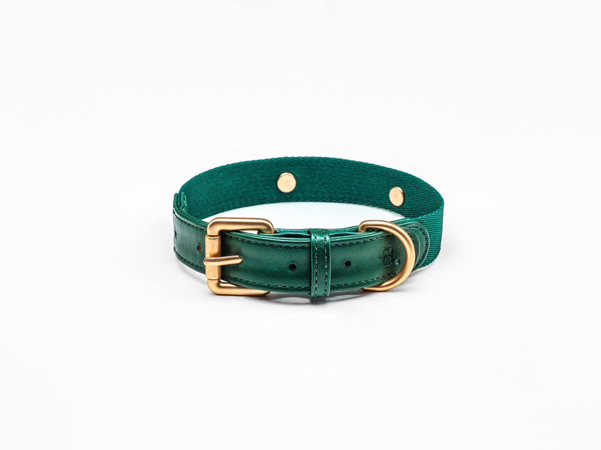 Green Dog Collar