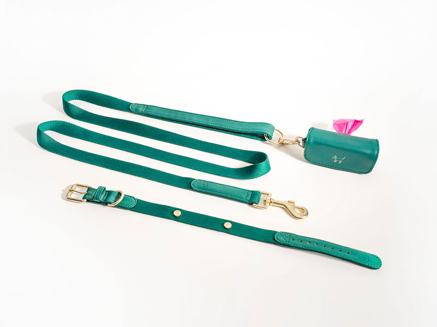 Green Dog Collar Walk Kit + Poop Bag Holder