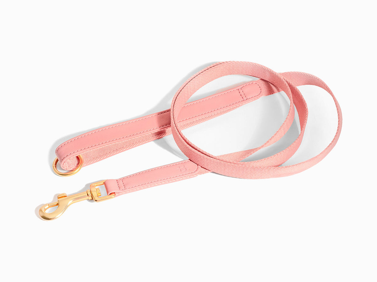 Pink Dog Leash