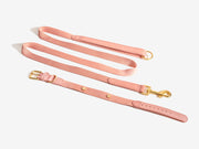 Pink Dog Collar Walk Kit