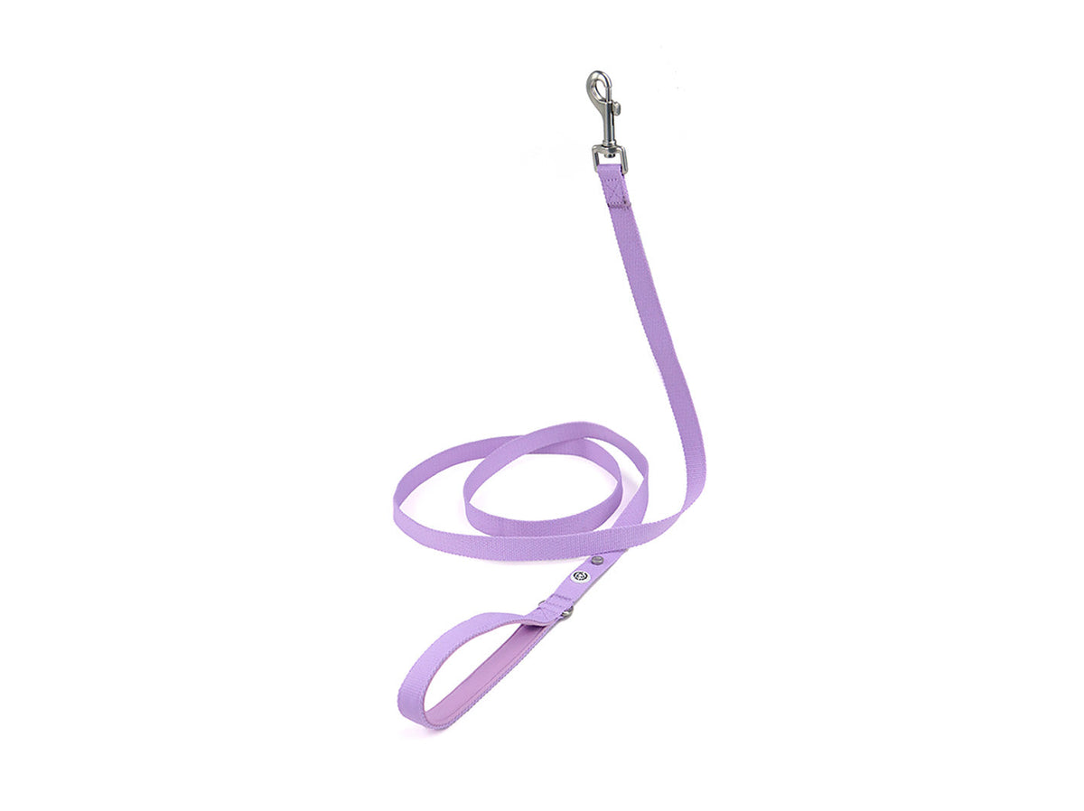 Lilac Dog Harness Walk Kit