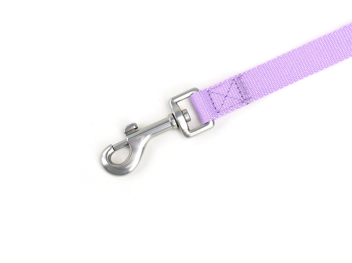 Lilac Dog Collar Walk Kit