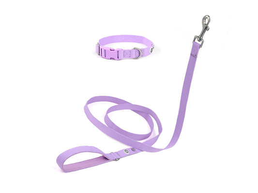 Lilac Dog Collar Walk Kit